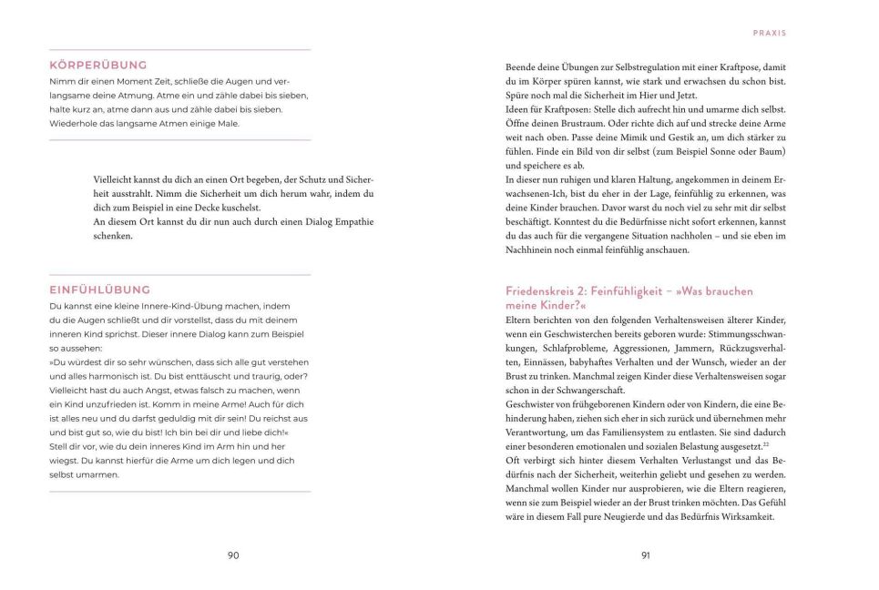 InsideView 5