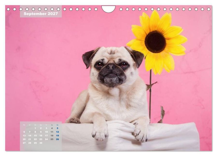 InsideView 14