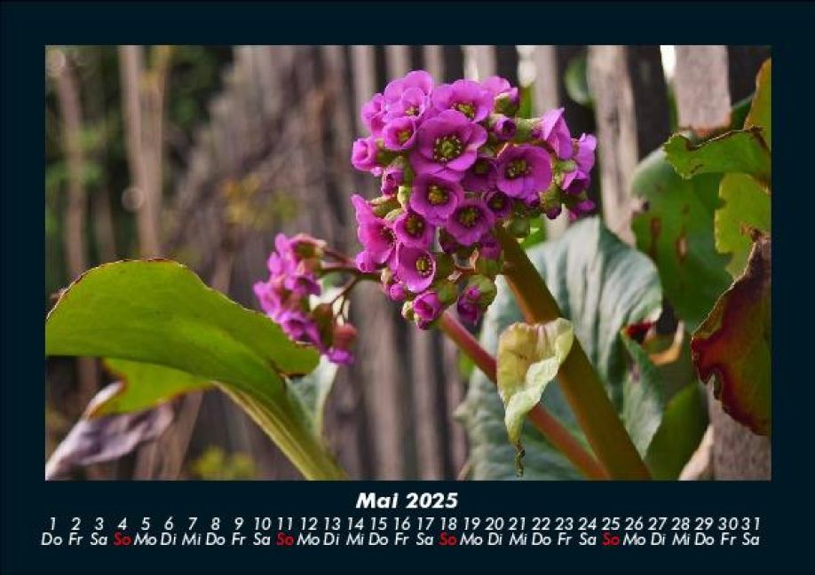 InsideView 9