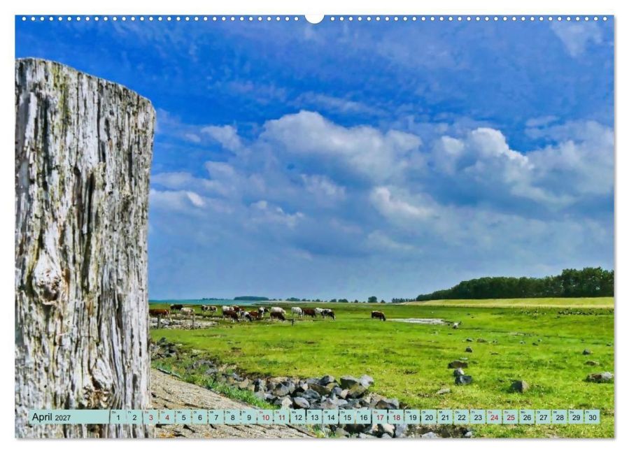 InsideView 9