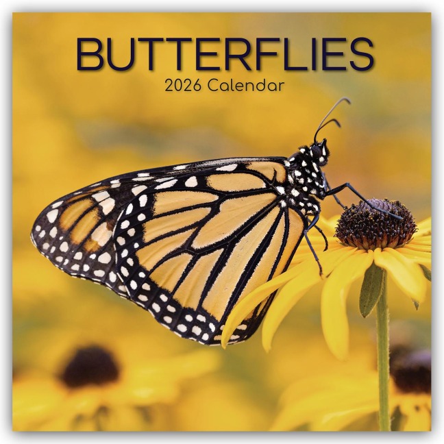 Butterflies - Schmetterlinge 2026 - 16-Monatskalender - Gifted Stationery Co. Ltd