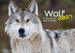 Cover-Bild zum Titel 'Wolf - Im Schatten des Waldes - 2027 - Kalender DIN A2' von ''