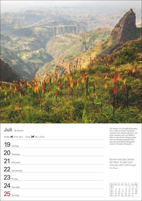 InsideView 10