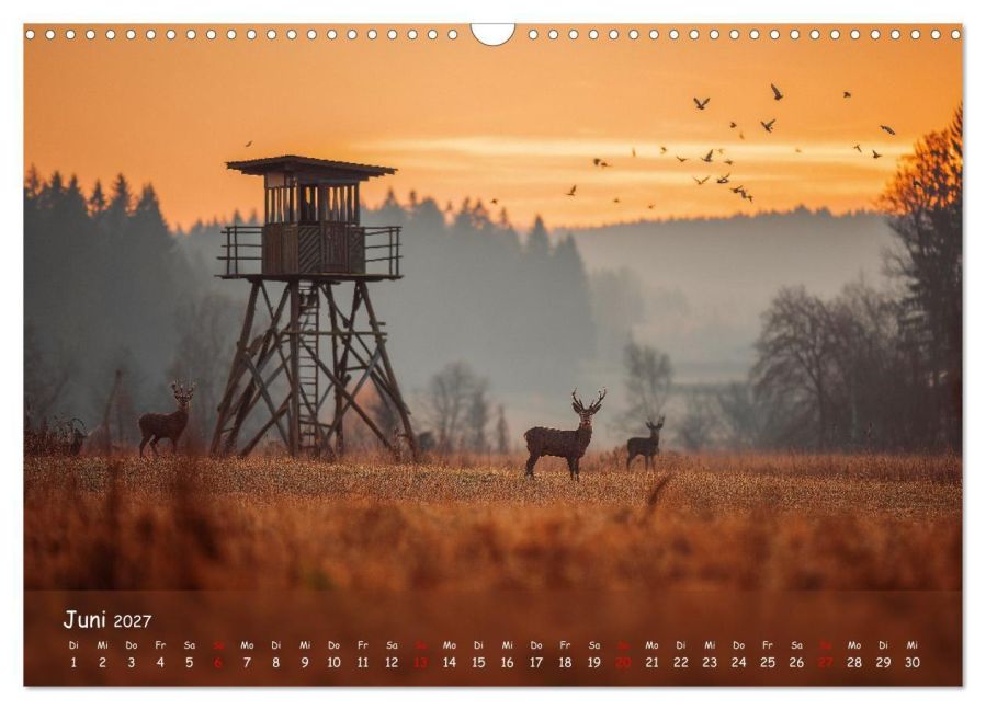 InsideView 11