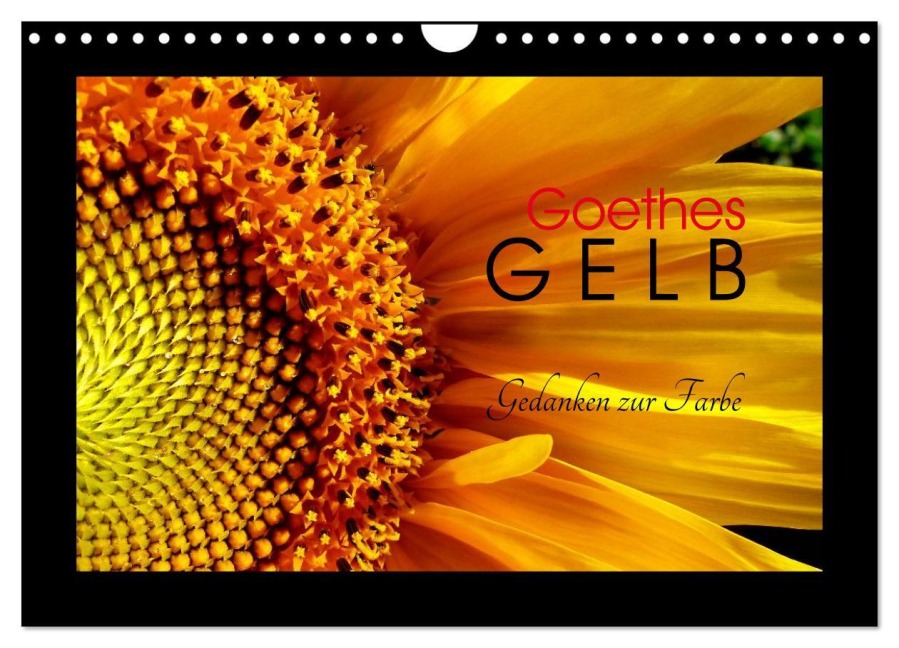 Goethes Gelb Gedanken zur Farbe (Wandkalender 2026 DIN A4 quer), CALVENDO Monatskalender - Lucy M. Laube