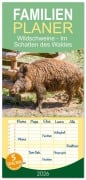 Cover-Bild zum Titel 'Familienplaner 2026 - Wildschweine - Im Schatten des Waldes mit 5 Spalten (Wandkalender, 21 x 45 cm) CALVENDO' von 'Sell Pixs:Sell'