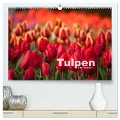 Tulpen (hochwertiger Premium Wandkalender 2024 DIN A2 quer), Kunstdruck in Hochglanz - Peter Schickert