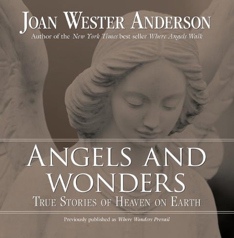 Angels and Wonders - Joan Wester Anderson