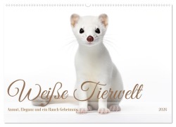 Cover-Bild zum Titel 'Weiße Tierwelt (Wandkalender 2026 DIN A2 quer), CALVENDO Monatskalender' von 'Daniela Tapper'