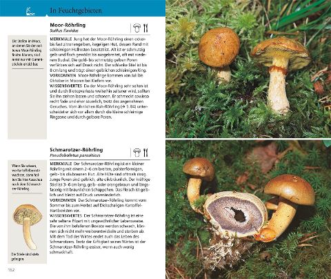 InsideView 5