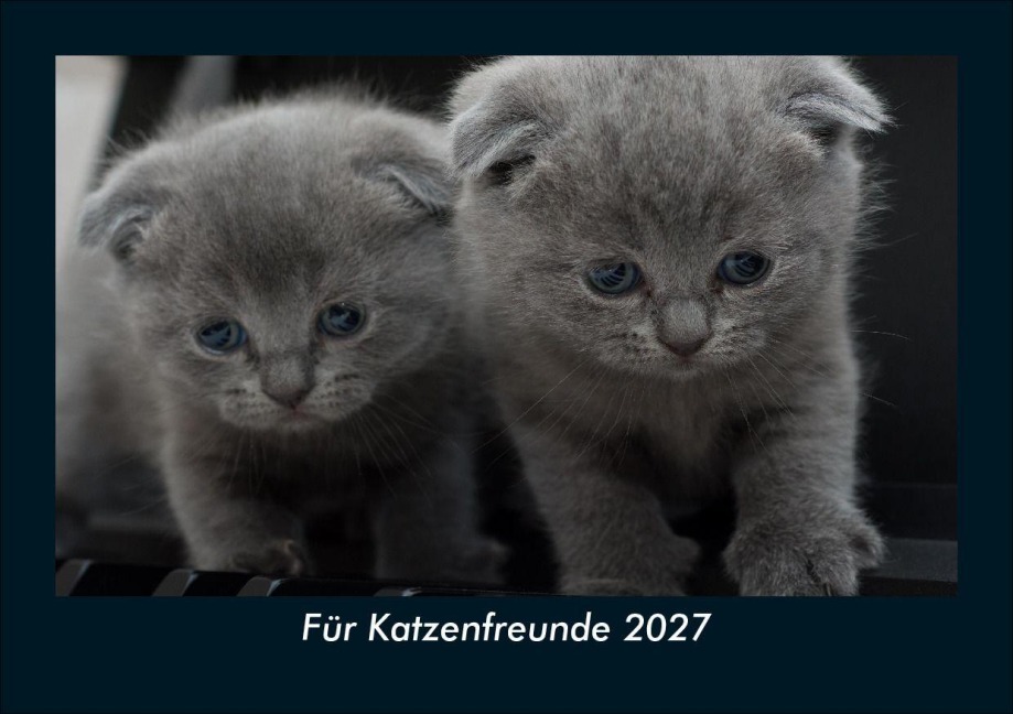 Für Katzenfreunde 2027 Fotokalender DIN A5 - Tobias Schmitt, Kevin Heber