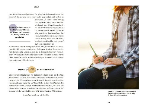 InsideView 4