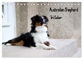 Australian Shepherd Tri Color (Tischkalender 2025 DIN A5 quer), CALVENDO Monatskalender - Youlia Youlia