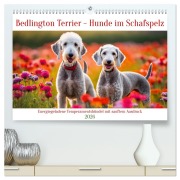 Cover-Bild zum Titel 'Bedlington Terrier - Hunde im Schafspelz (hochwertiger Premium Wandkalender 2026 DIN A2 quer), Kunstdruck in Hochglanz' von 'Claudia Kleemann'