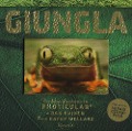 Cover-Bild zum Titel 'Giungla. Un libro illustrato in Photicular®' von 'Kathy Wollard, Dan Kainen'