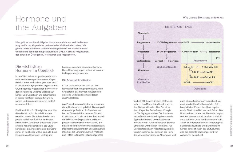 InsideView 4