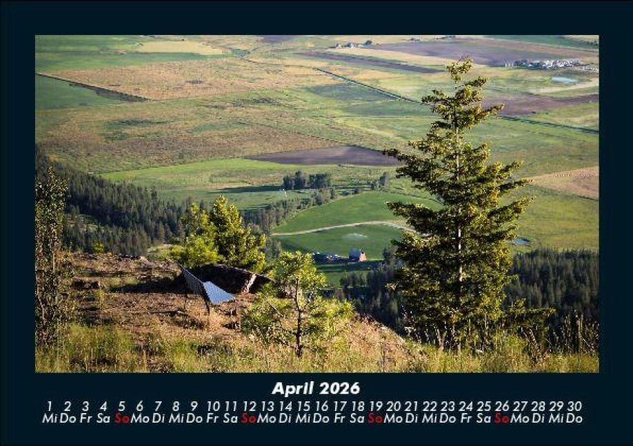 InsideView 8