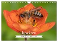 Insekten - Kleine Helfer unseres Lebens (Wandkalender 2024 DIN A4 quer), CALVENDO Monatskalender - Nikolai Röttger