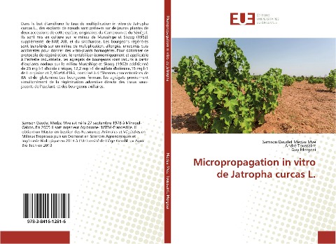 Micropropagation in vitro de Jatropha curcas L. - Samson Daudet Medza Mve, André Toussaint, Guy Mergeai