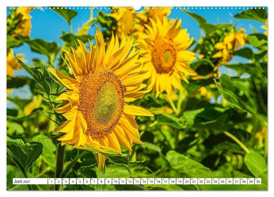 InsideView 11