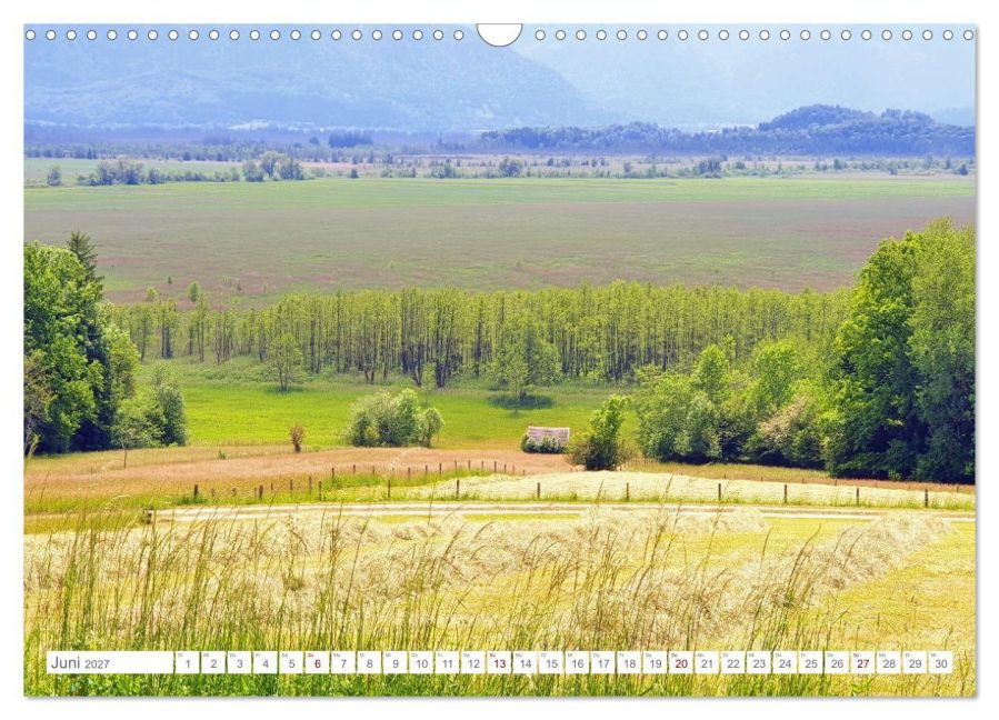 InsideView 11