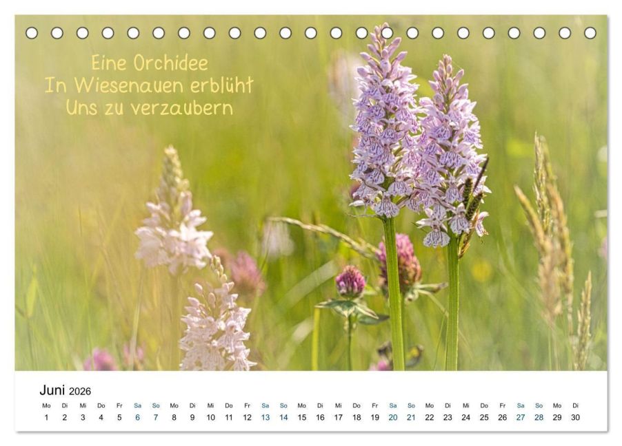 InsideView 11
