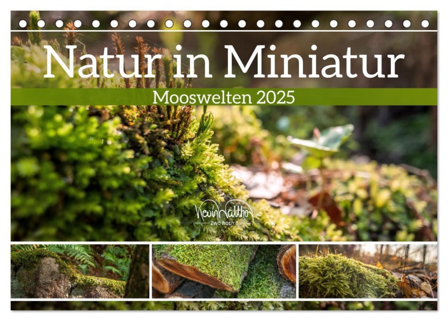 Natur in Miniatur - Mooswelten (Tischkalender 2025 DIN A5 quer), CALVENDO Monatskalender - Kevin Walther