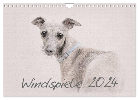 Windspiele 2024 (Wandkalender 2024 DIN A4 quer), CALVENDO Monatskalender - Andrea Redecker
