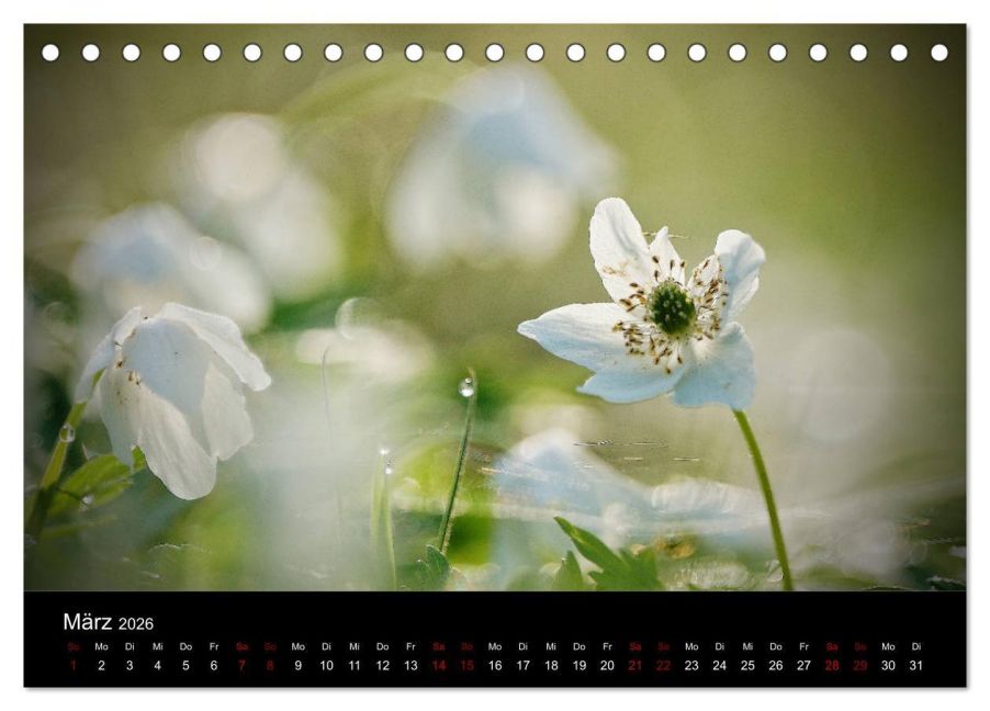 InsideView 8