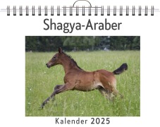 Cover-Bild zum Titel 'Shagya-Araber' von 'Finn Meier'
