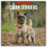 Cairn Terriers - Cairn Terrier 2026 - 16-Monatskalender - Robin Red