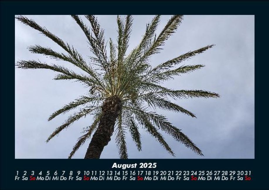 InsideView 12