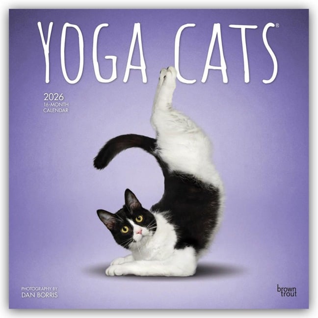 Yoga Cats - Katzen Yoga 2026 - 16-Monatskalender - Browntrout Publishers Inc