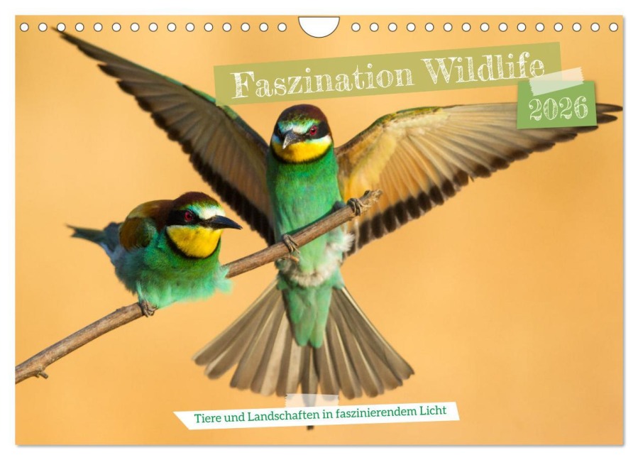 Faszination Wildlife (Wandkalender 2026 DIN A4 quer), CALVENDO Monatskalender - Frederic Bauer
