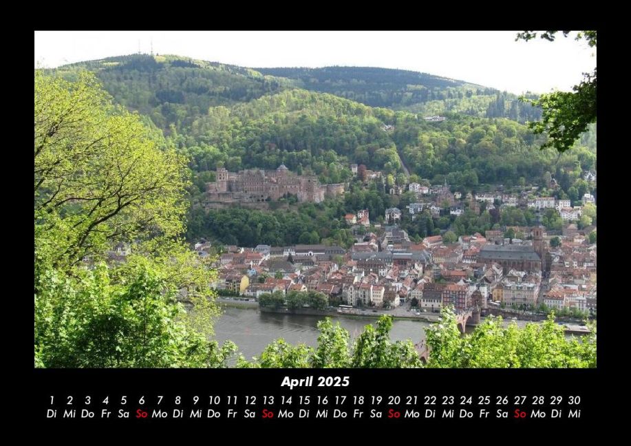 InsideView 8
