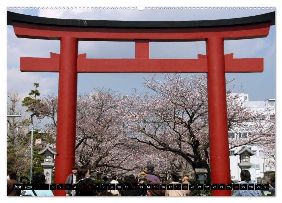 InsideView 9