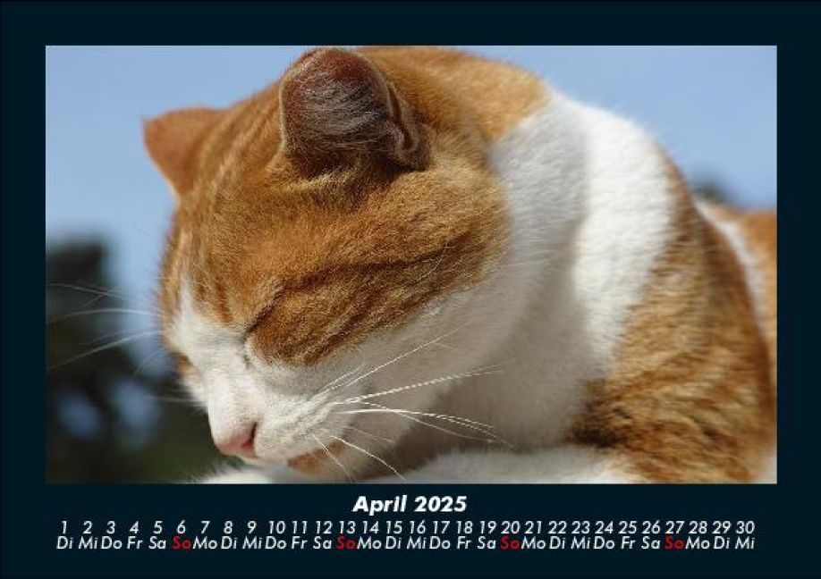 InsideView 8