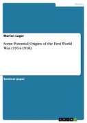 Cover-Bild zum Titel 'Some Potential Origins of the First World War (1914-1918)' von 'Marion Luger'