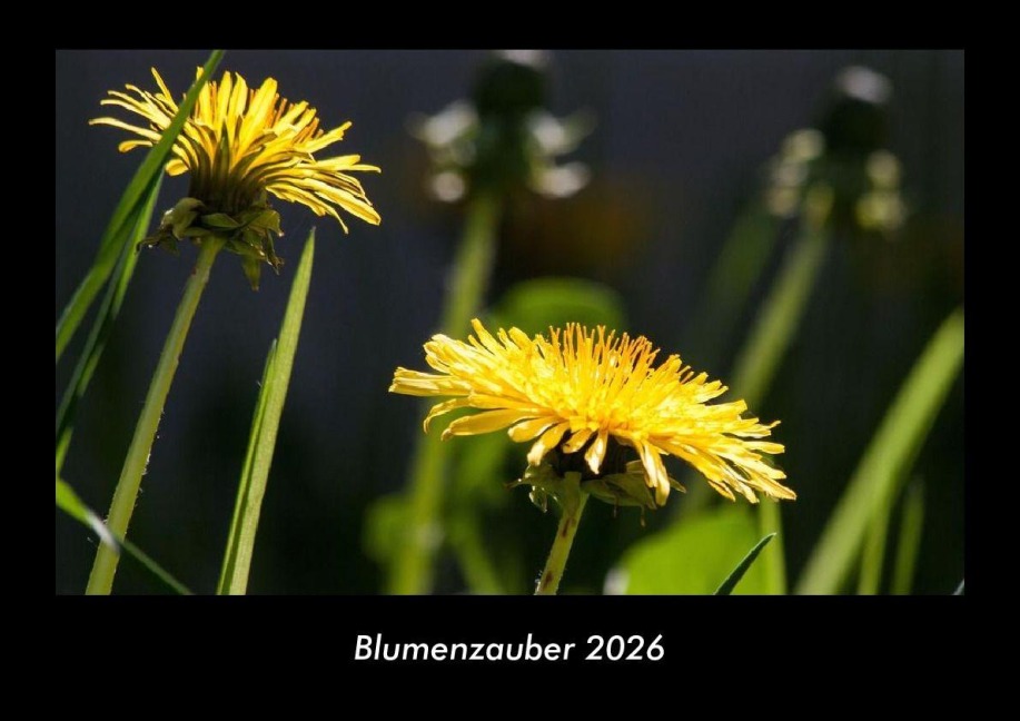 Blumenzauber 2026 Fotokalender DIN A3 - Tobias Becker
