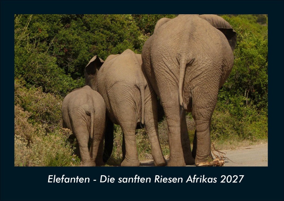 Elefanten - Die sanften Riesen Afrikas 2027 Fotokalender DIN A4 - Tobias Schmitt, Kevin Heber