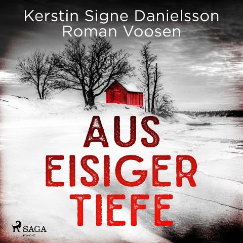 Aus eisiger Tiefe - Kerstin Signe Danielsson, Roman Voosen