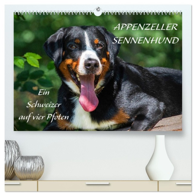 Appenzeller Sennenhund - Ein Schweizer auf 4 Pfoten (hochwertiger Premium Wandkalender 2026 DIN A2 quer), Kunstdruck in Hochglanz - Sigrid Starick
