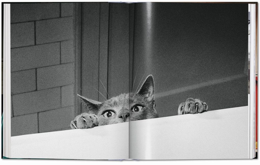 InsideView 12