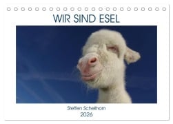 Cover-Bild zum Titel 'WIR SIND ESEL (Tischkalender 2026 DIN A5 quer), CALVENDO Monatskalender' von 'Steffen Schellhorn'
