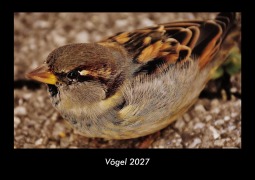 Cover-Bild zum Titel 'Vögel 2027 Fotokalender DIN A3' von 'Tobias Schmitt, Kevin Heber'