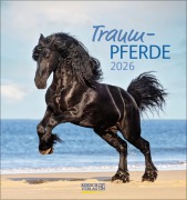 Traumpferde 2026 - 