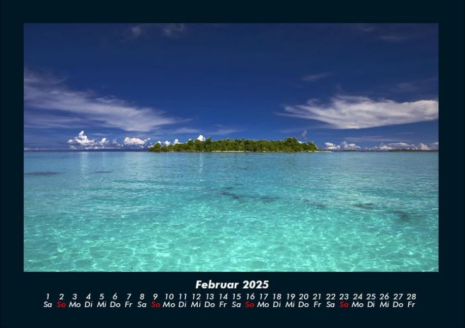 InsideView 6