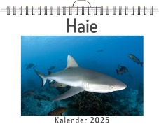 Cover-Bild zum Titel 'Haie' von 'Aaron Fischer'