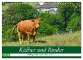 Kälber und Rinder (Wandkalender 2024 DIN A4 quer), CALVENDO Monatskalender - Jean-Louis Glineur DeVerviers