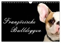 Französische Bulldoggen (Wandkalender 2024 DIN A4 quer), CALVENDO Monatskalender - Nicole Noack